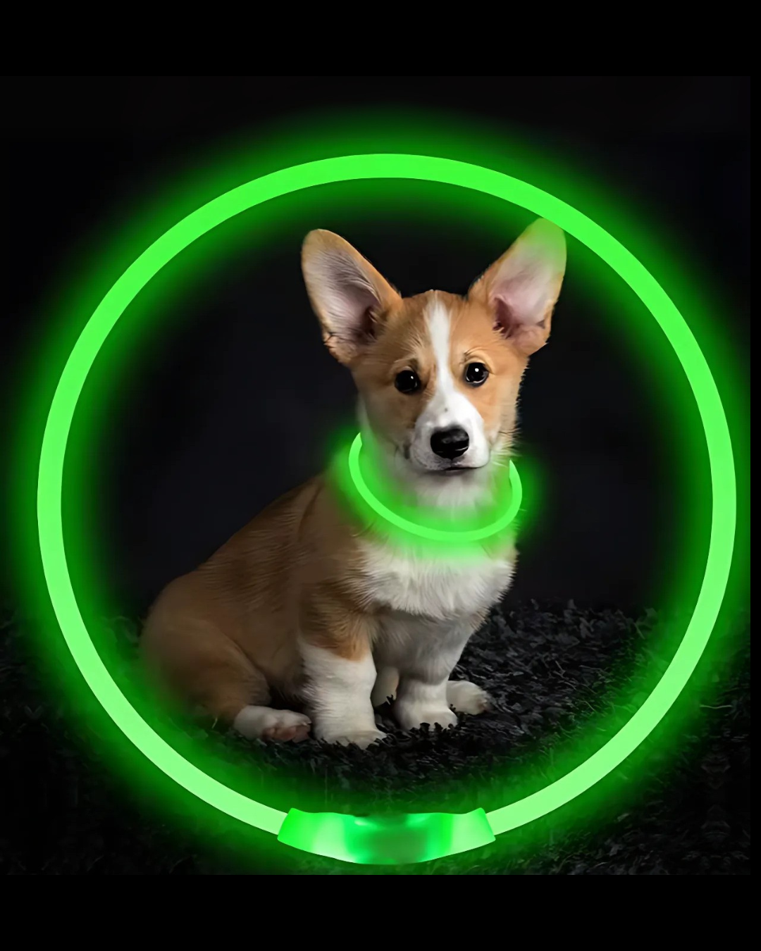 LED Collar Glow Sticks