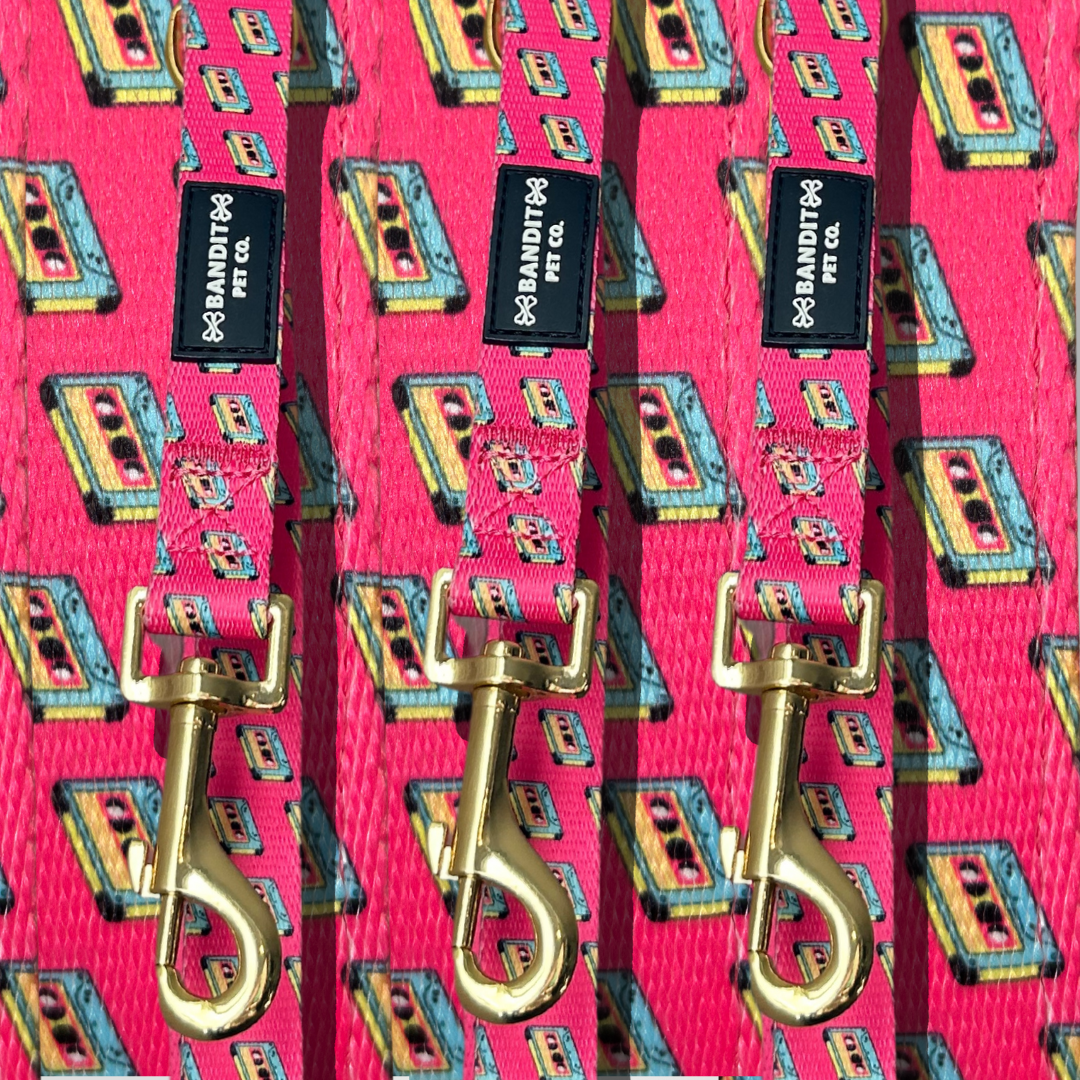 90's Retro Pet Leash