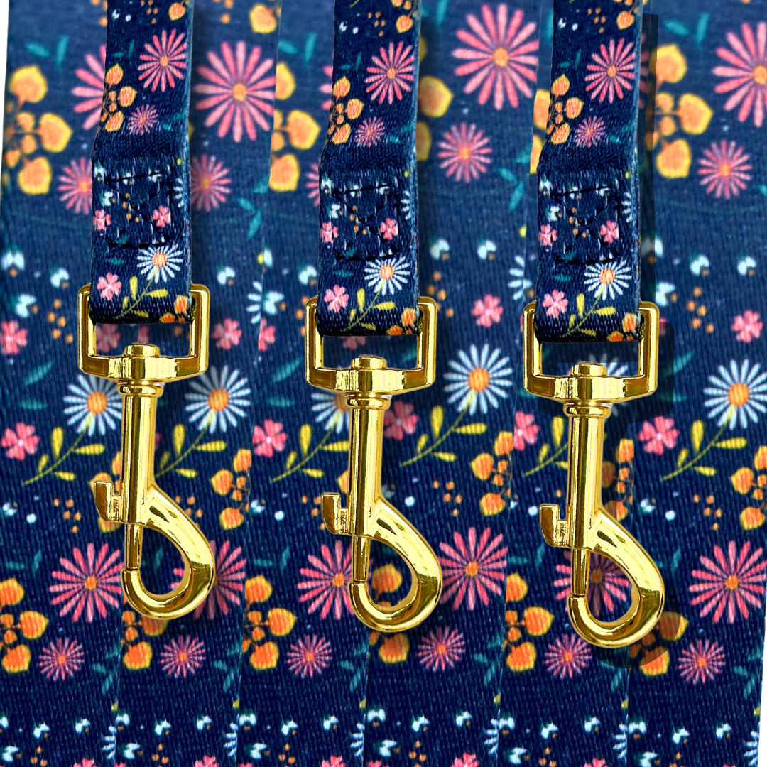 Wallflower Pet Collar