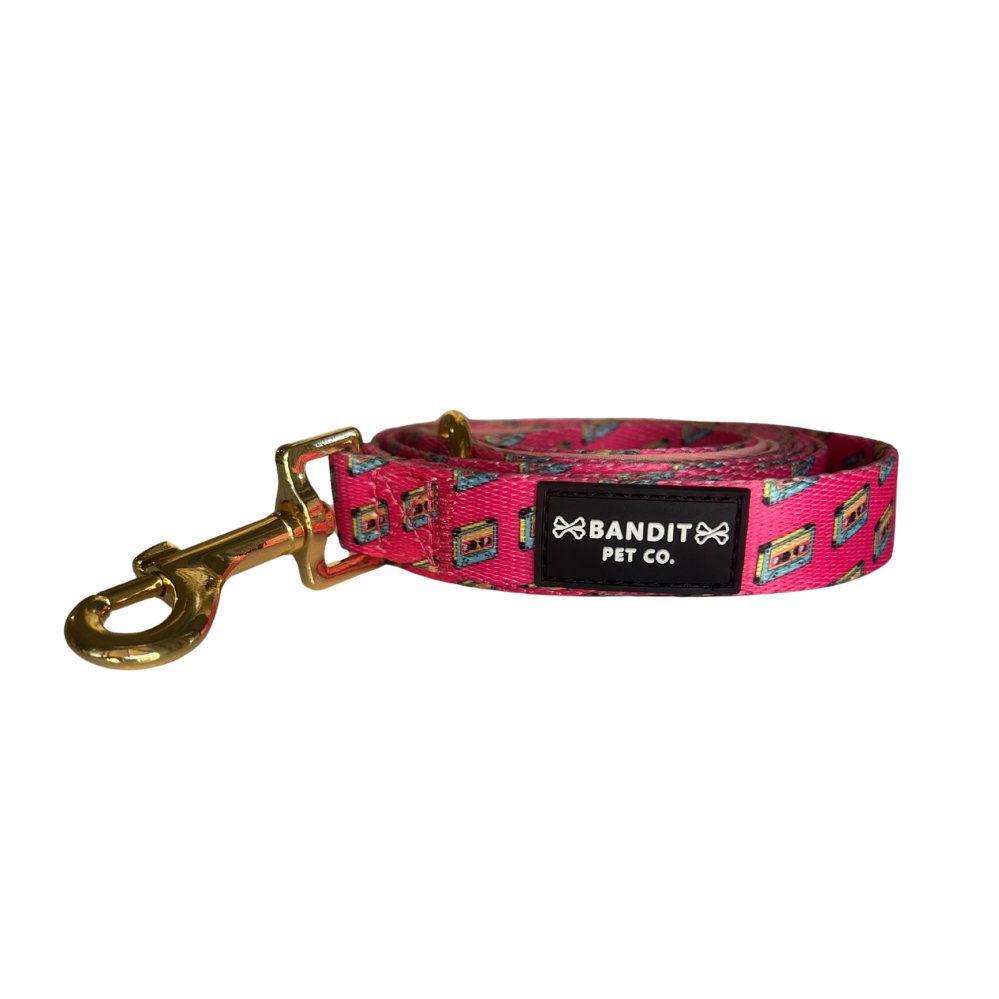 90's Retro Pet Leash