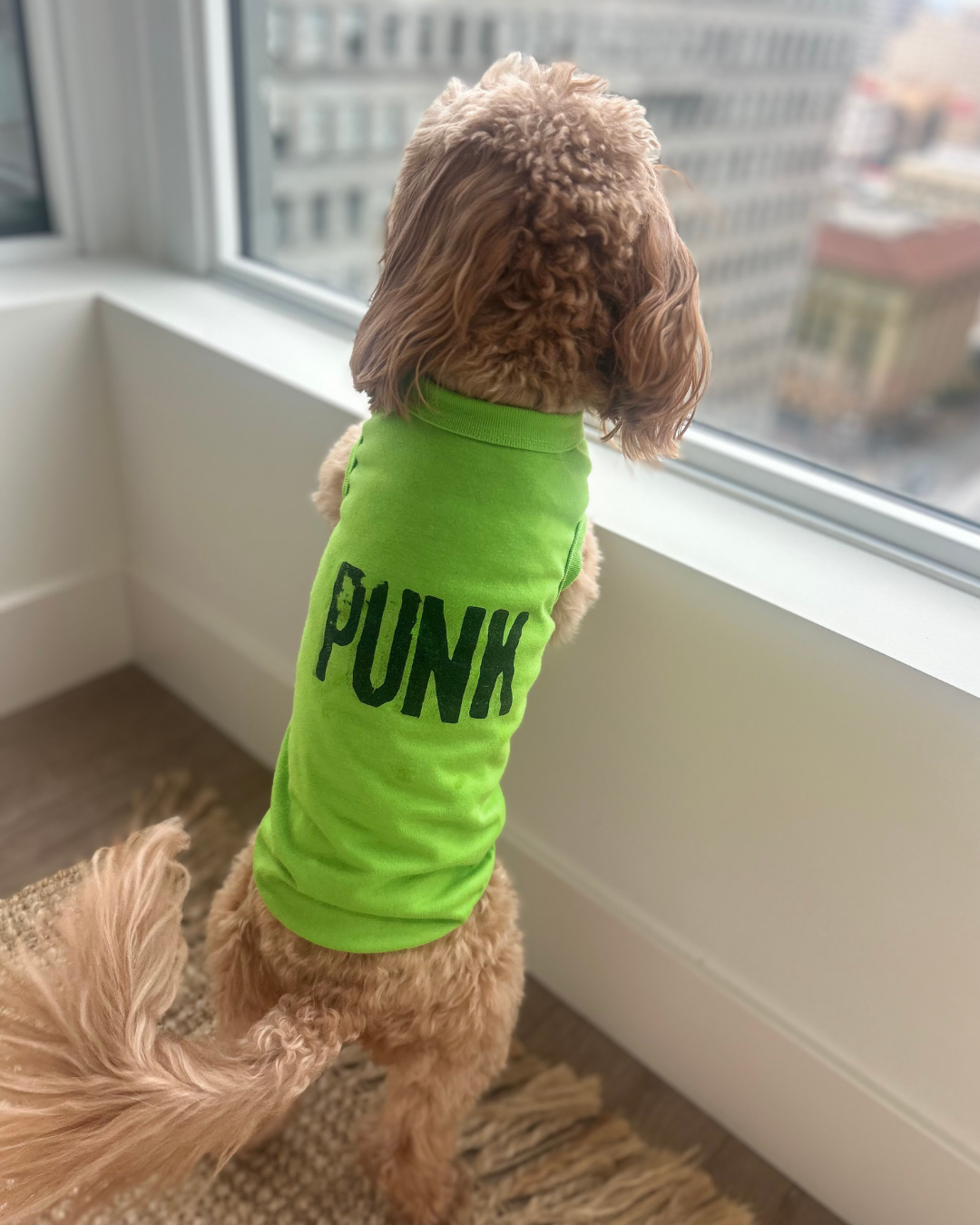 PUNK PET T-SHIRT