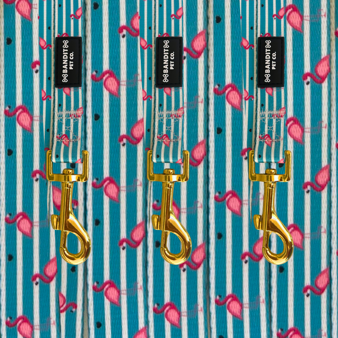 Summer Stripes Pet Leash