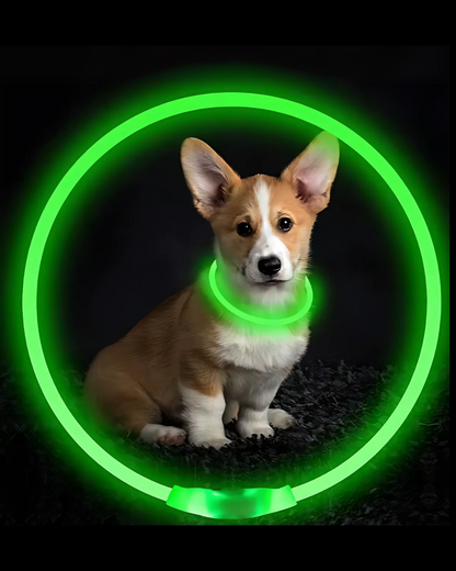 LED Collar Glow Sticks