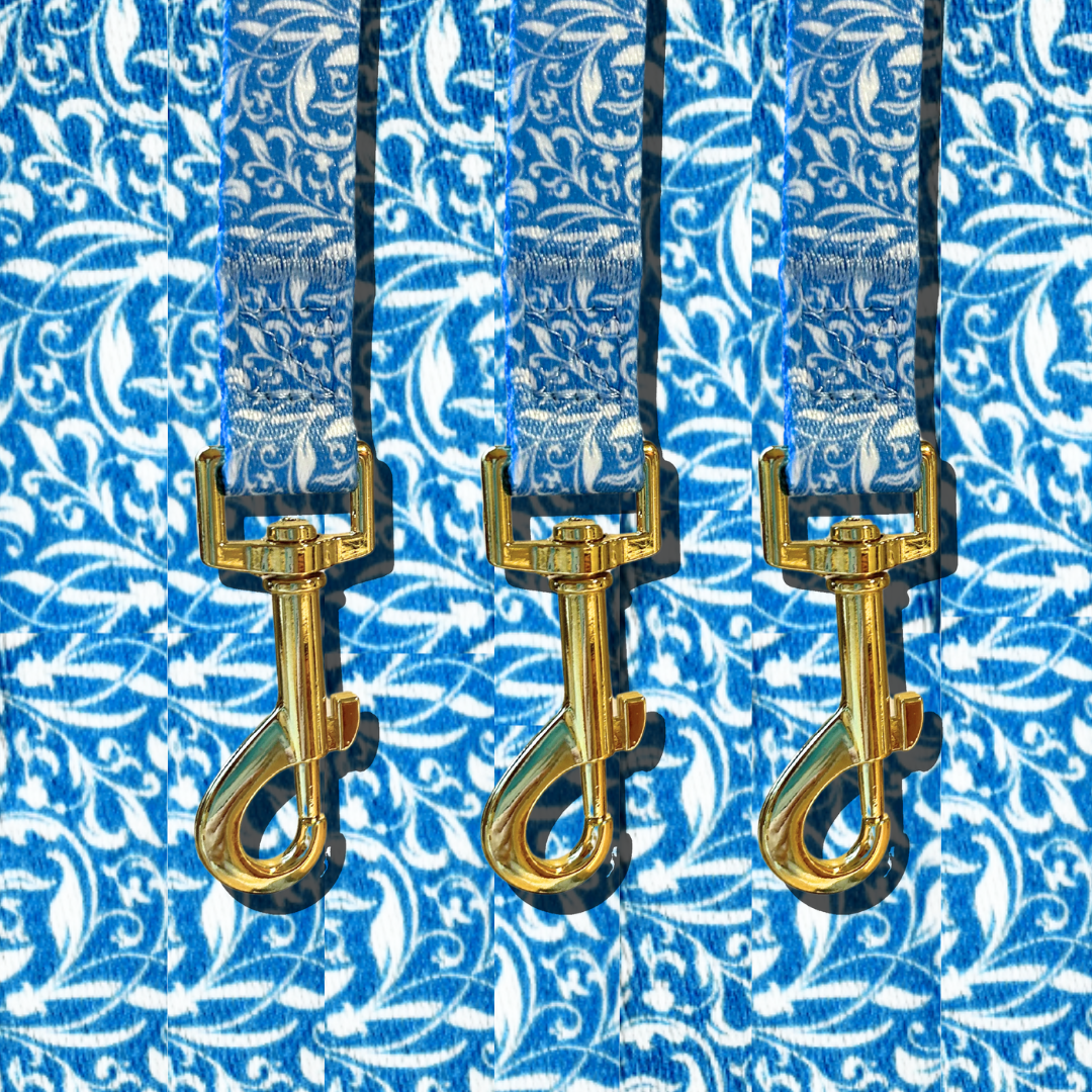 Brad Paisley Pet Leash