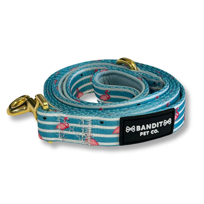 Summer Stripes Pet Leash