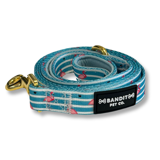 Summer Stripes Pet Leash