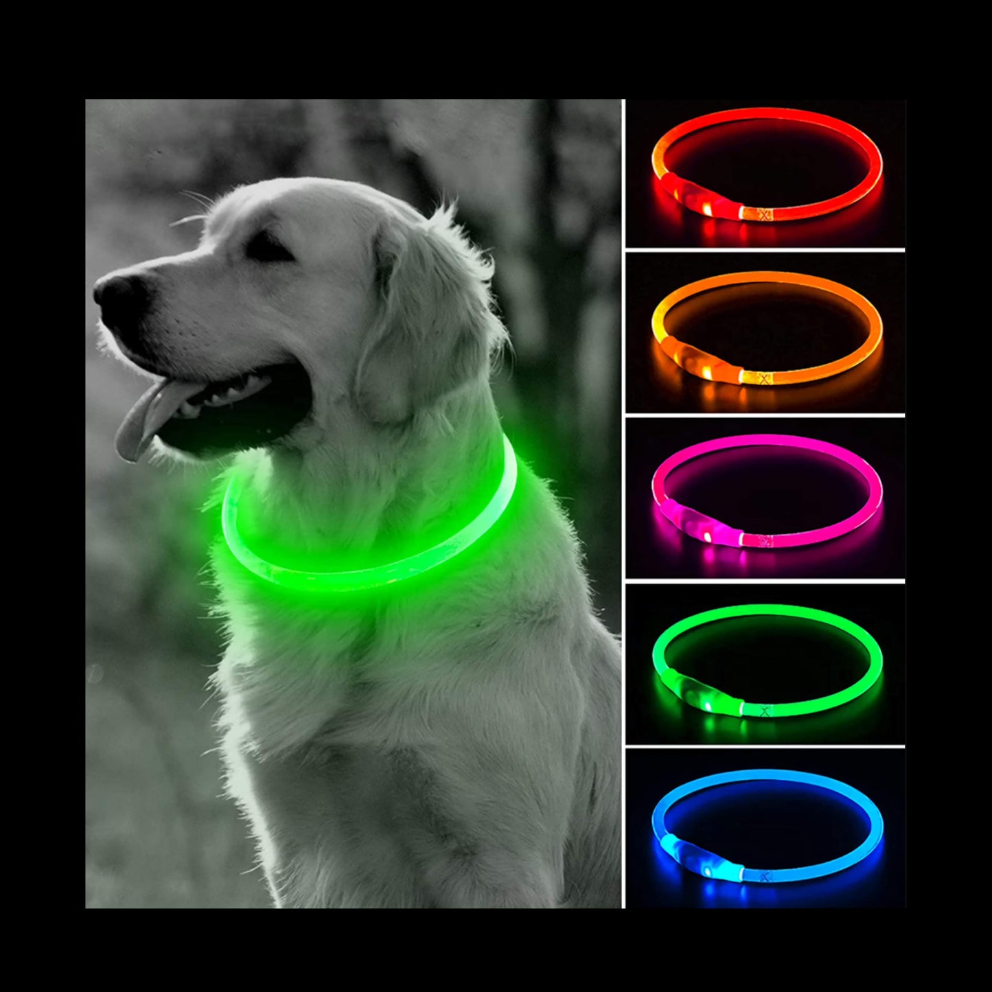 PET GLOW NECKLACE