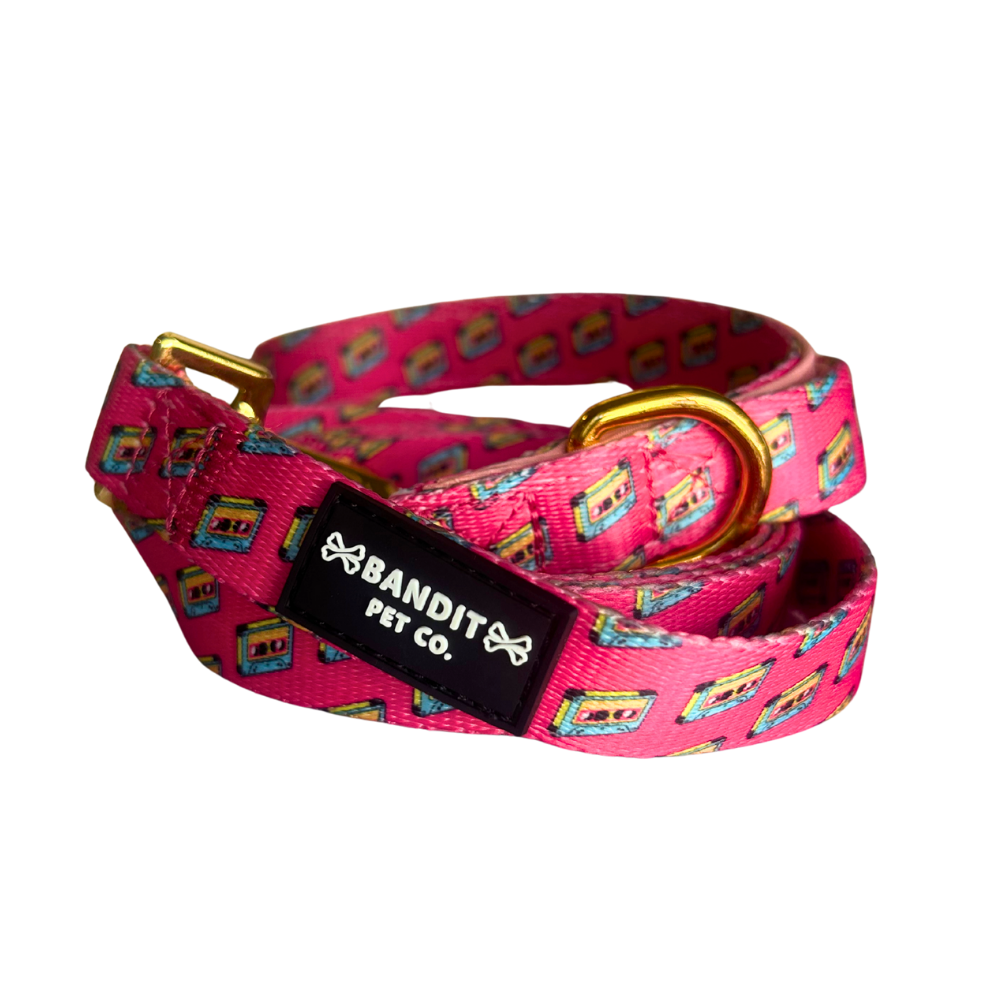90's Retro Pet Leash