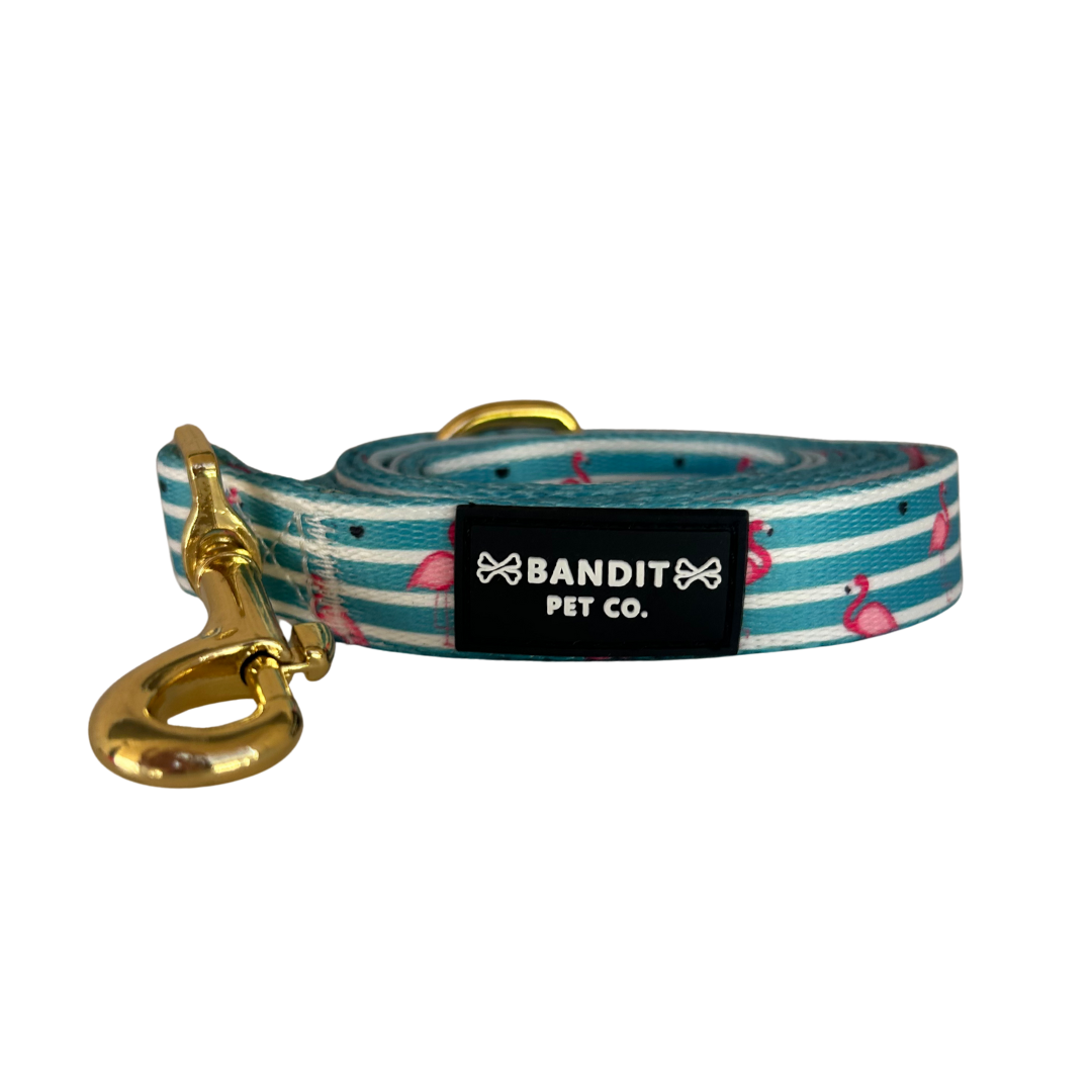 Summer Stripes Pet Leash