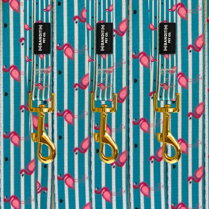 Summer Stripes Pet Leash