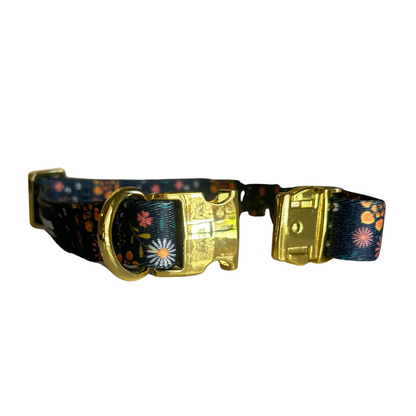 Wallflower Pet Collar