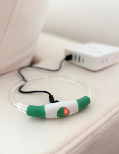 PET LED GLOW SAFETY NECKLACE